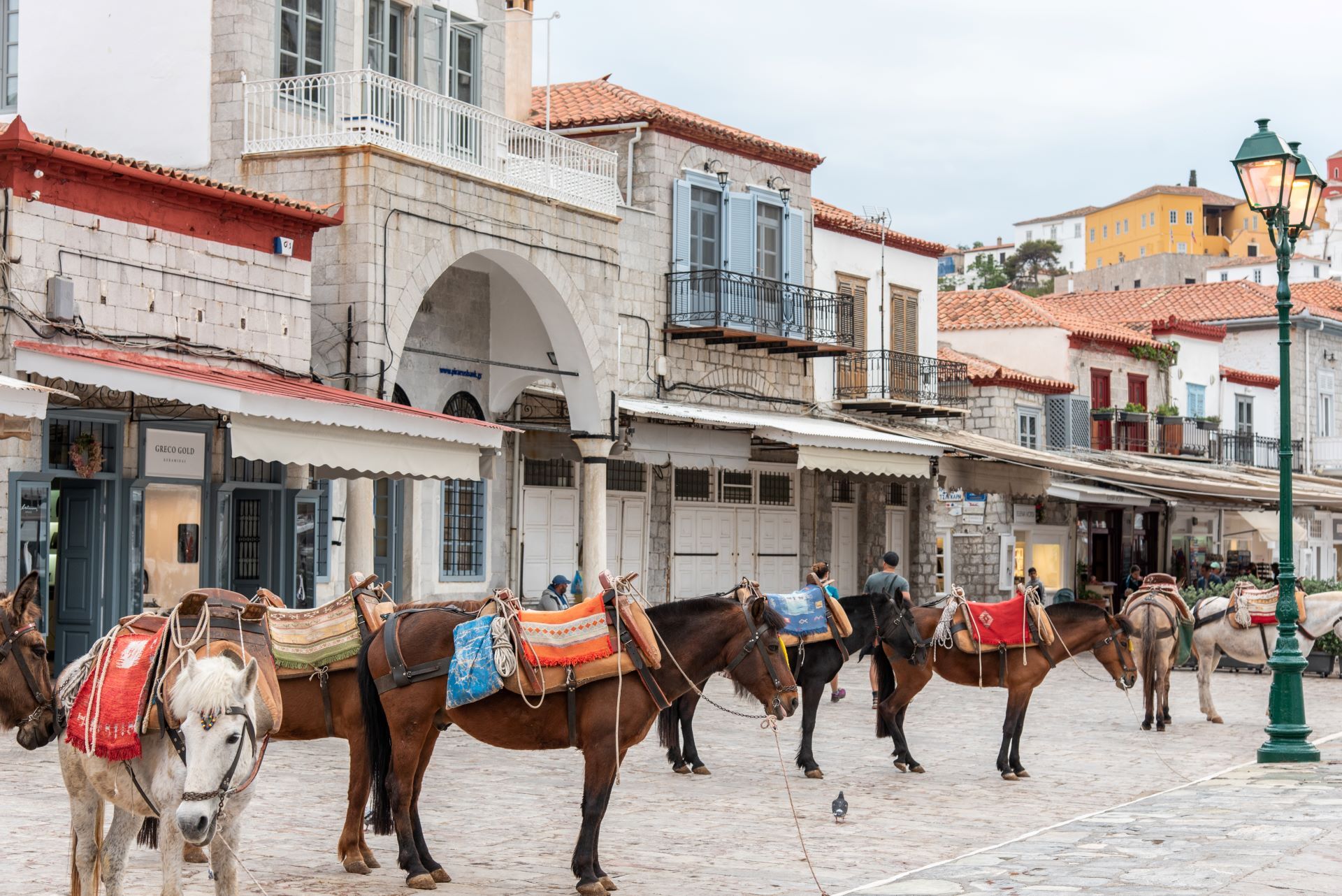 Hydra without cars: How to get around on foot, donkey & water taxi